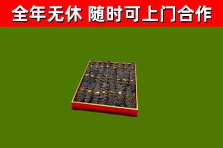 佳木斯回收海参